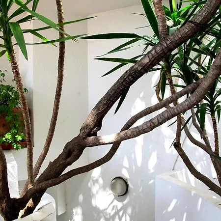 Pop Hotel Cala Gonone